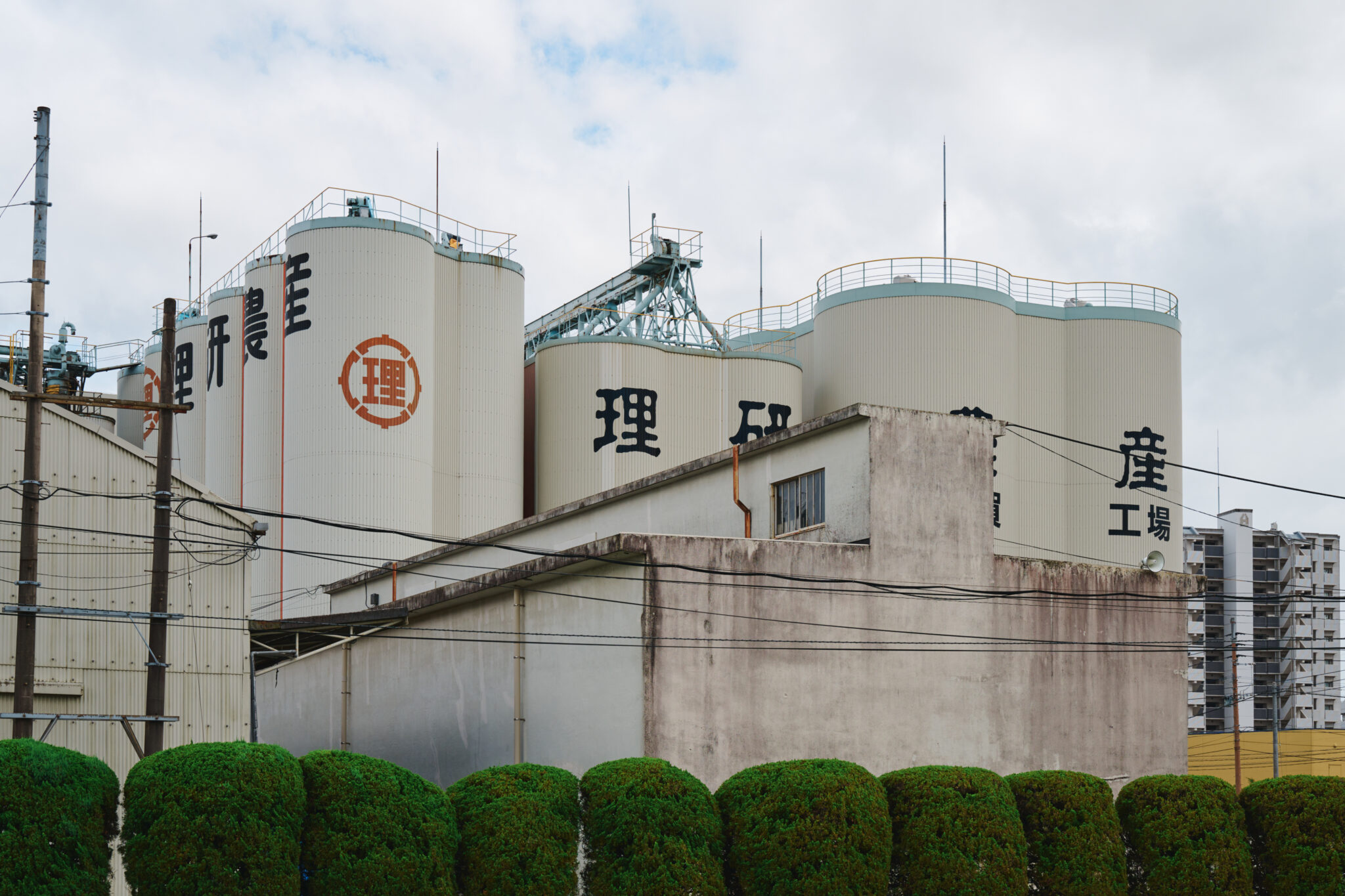 イベント写真