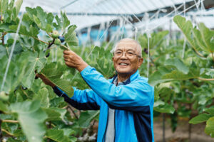 希少フルーツ栽培のパイオニア、唐津「富田農園」が農家魂をかけてチャレンジし続ける理由